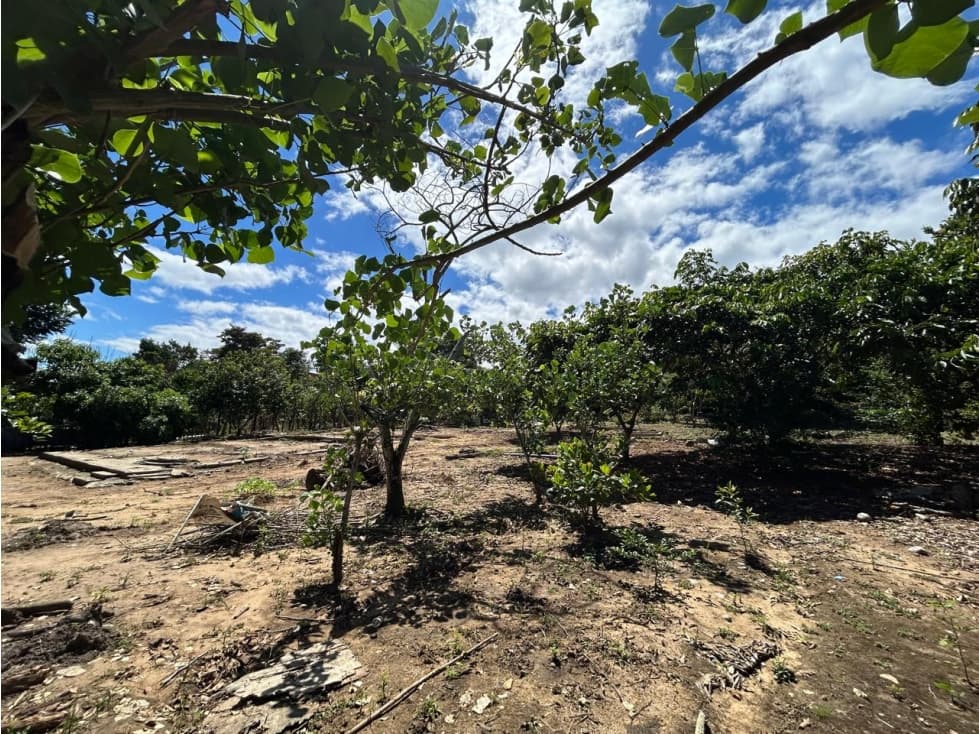 Terreno de 2,600 m² de naturaleza y tranquilidad — foto 4