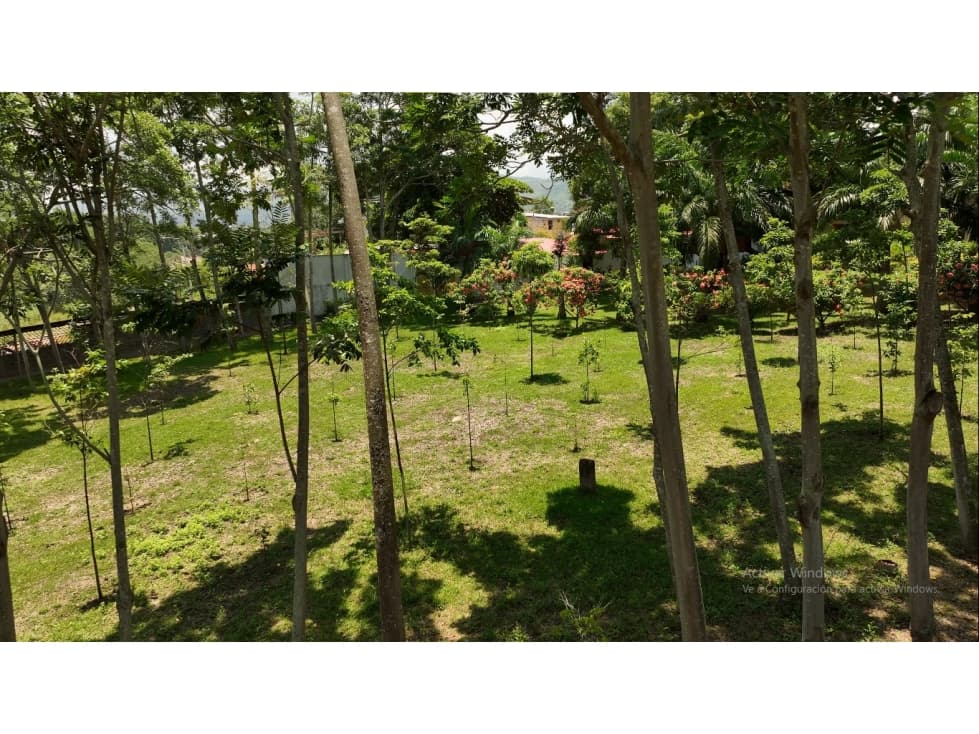 Terreno en Morales — foto 5