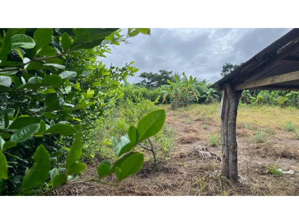 ¡Oportunidad Ãºnica! Terreno de 960 mÂ² cerca de la Laguna Venecia — foto 5