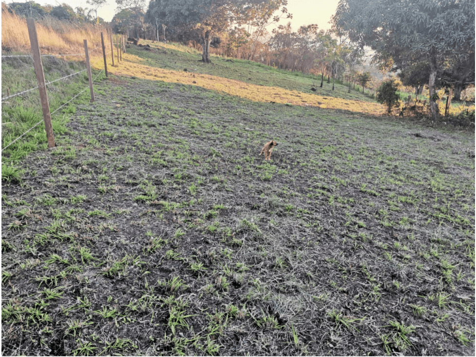 OPORTUNIDAD TERRENO CON EXCELENTE VISTA — foto 6